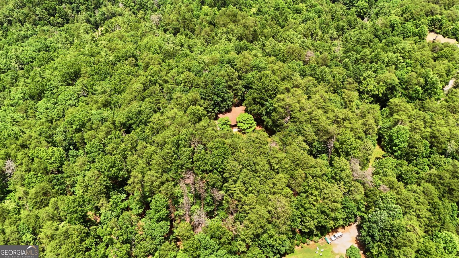 925 Horseshoe Bend Road Dahlonega - Photo 80