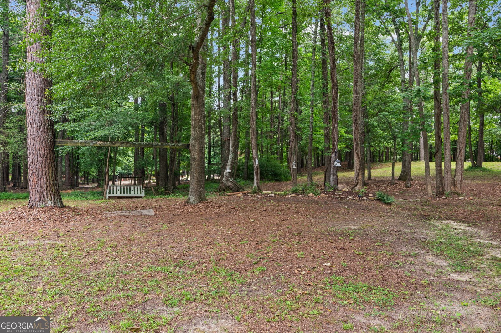 183 Goodwyn Road Newnan - Photo 52
