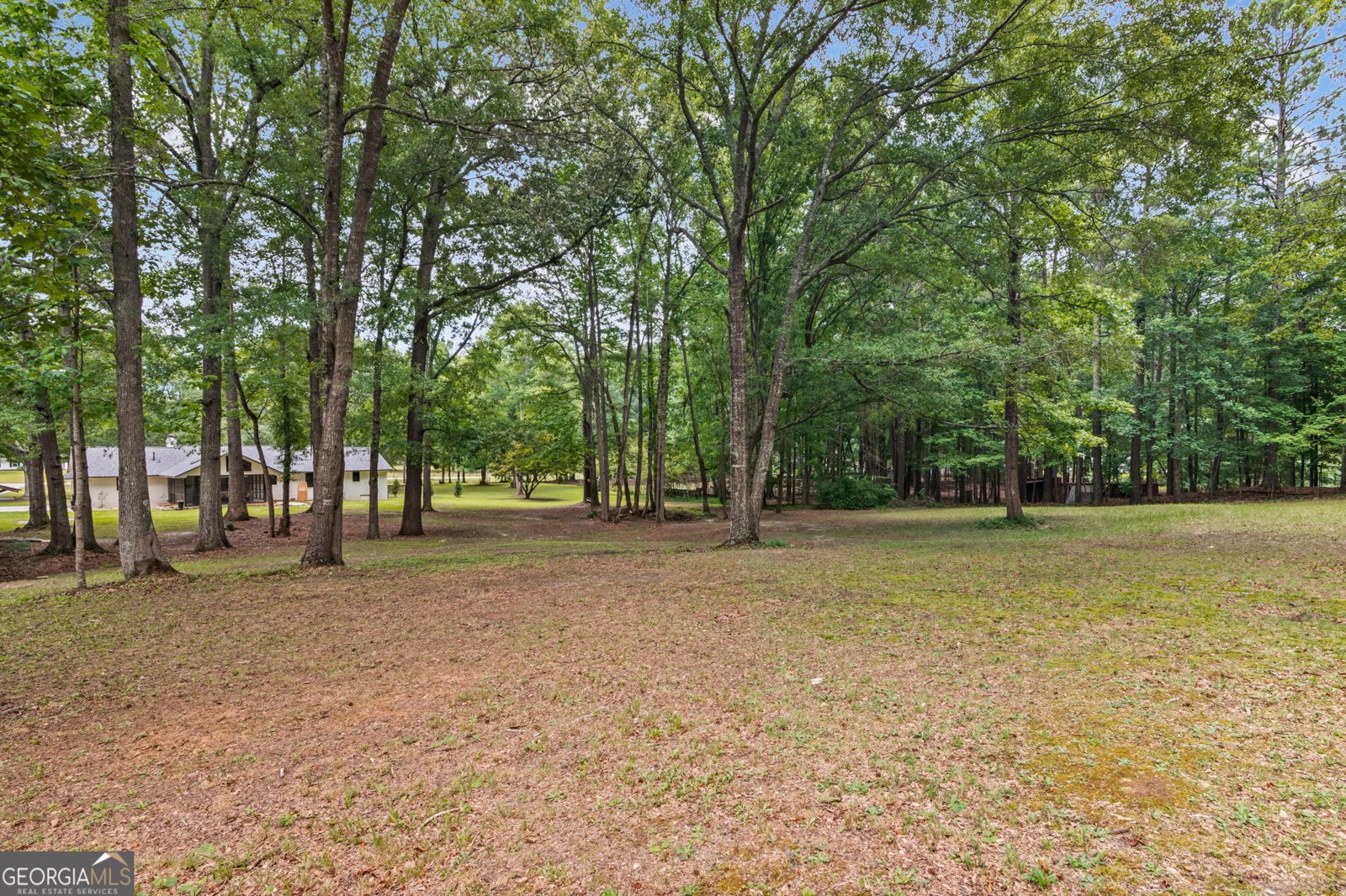 183 Goodwyn Road Newnan - Photo 53