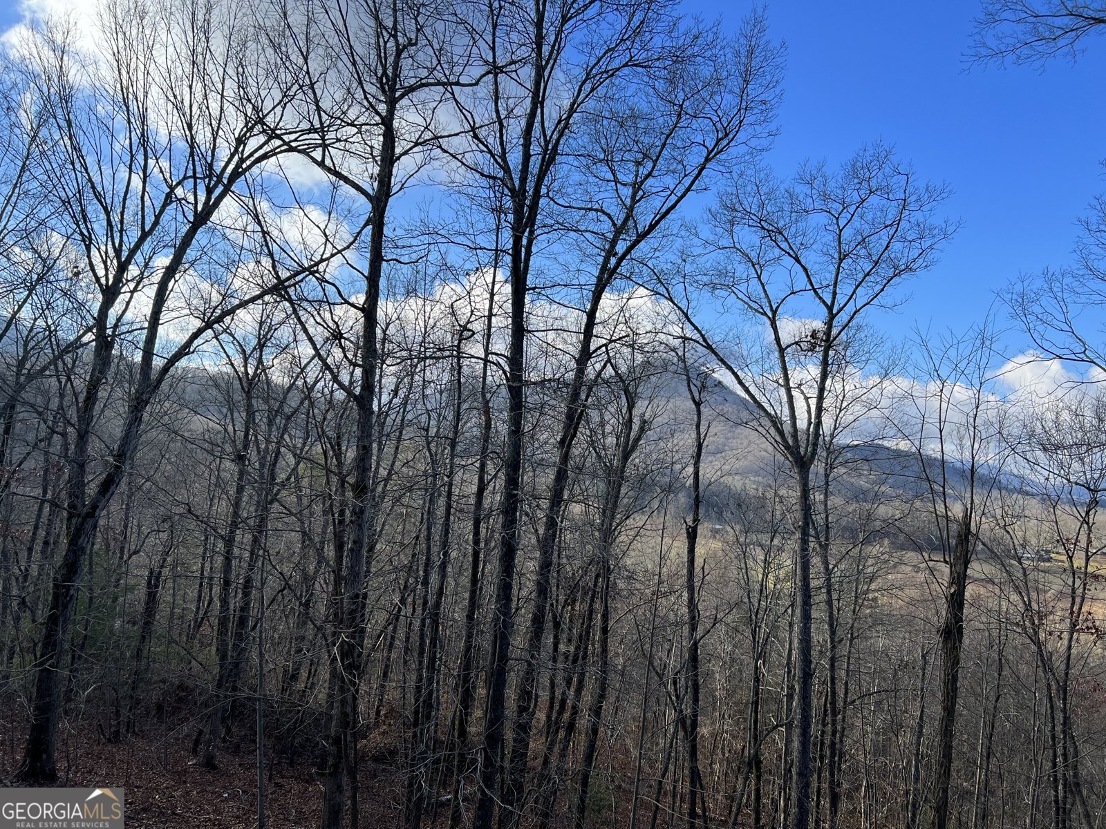 2270 Valley View Drive Hiawassee - Photo 43