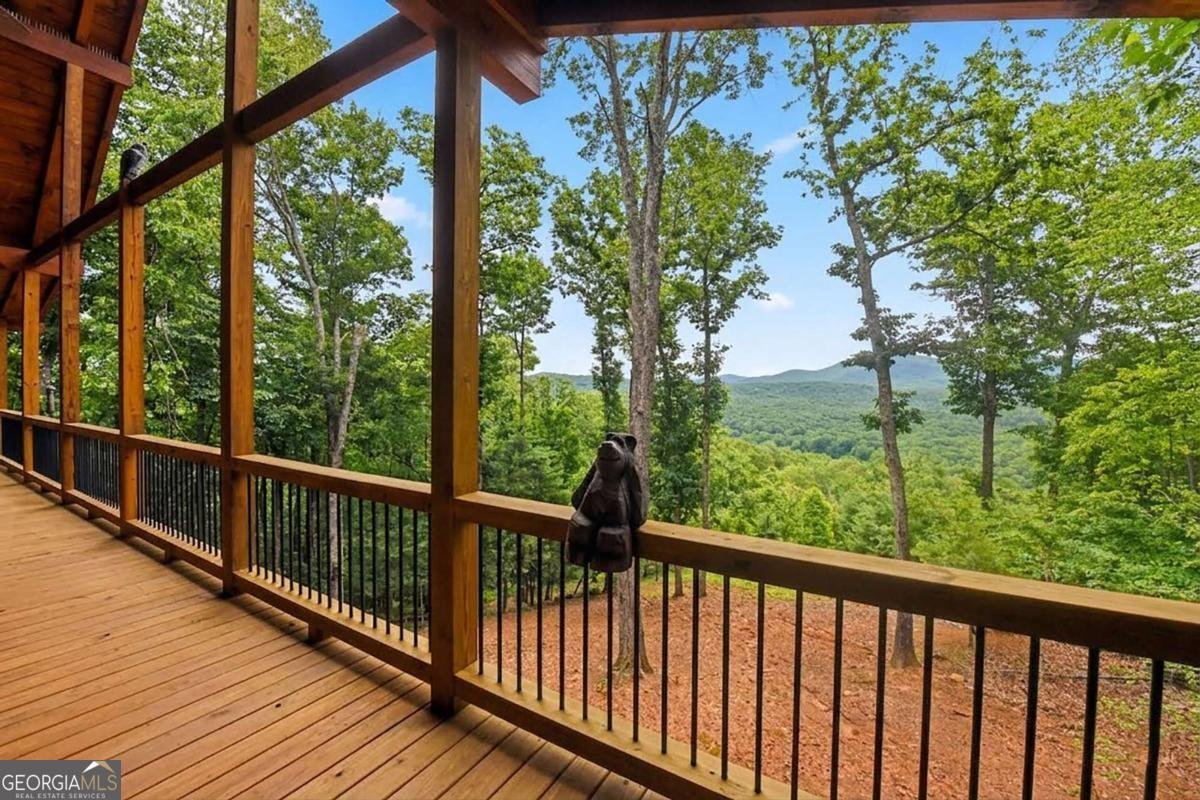 731 Native Trail Blue Ridge - Photo 13