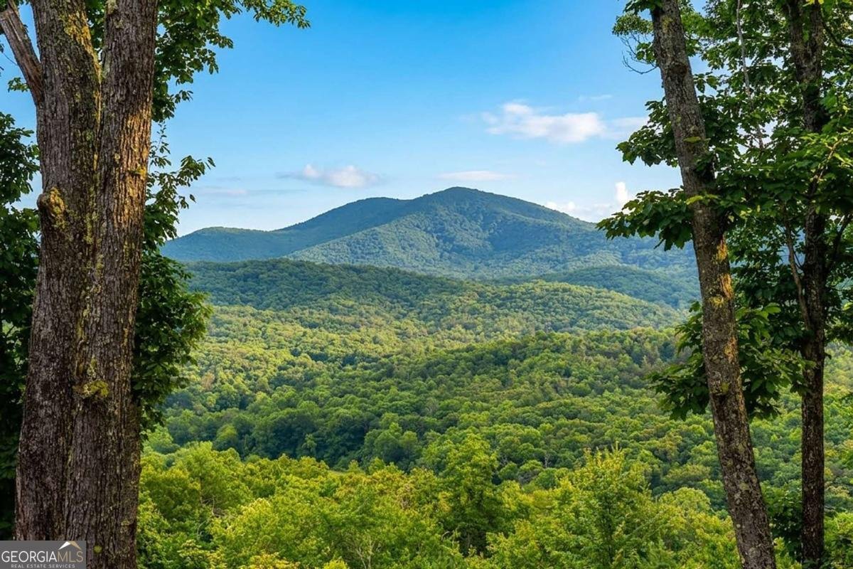 731 Native Trail Blue Ridge - Photo 15