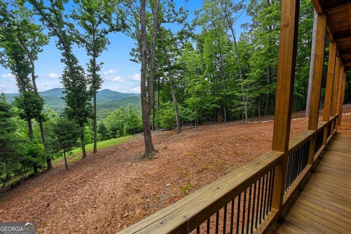 731 Native Trail Blue Ridge - Photo 16
