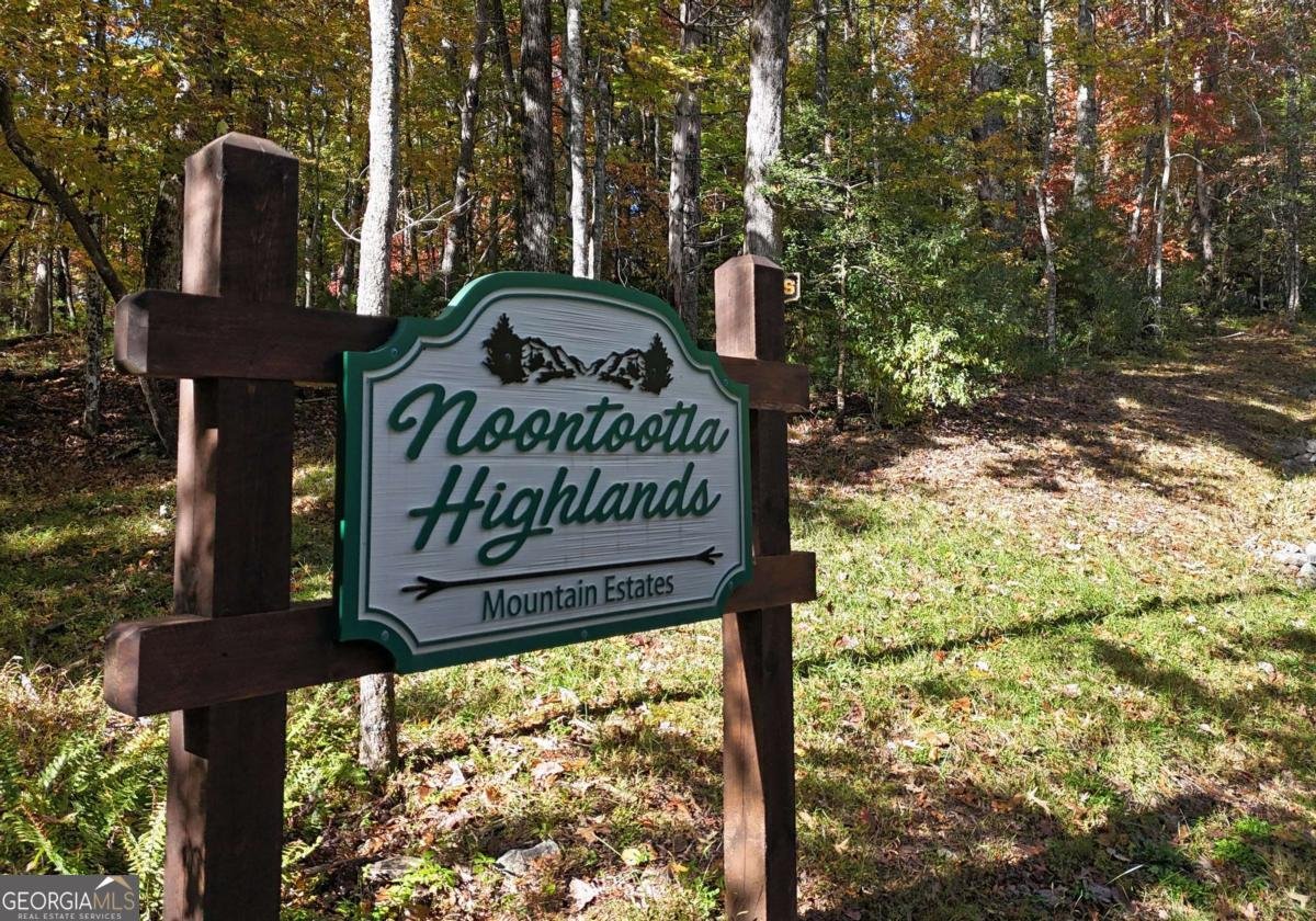 731 Native Trail Blue Ridge - Photo 50