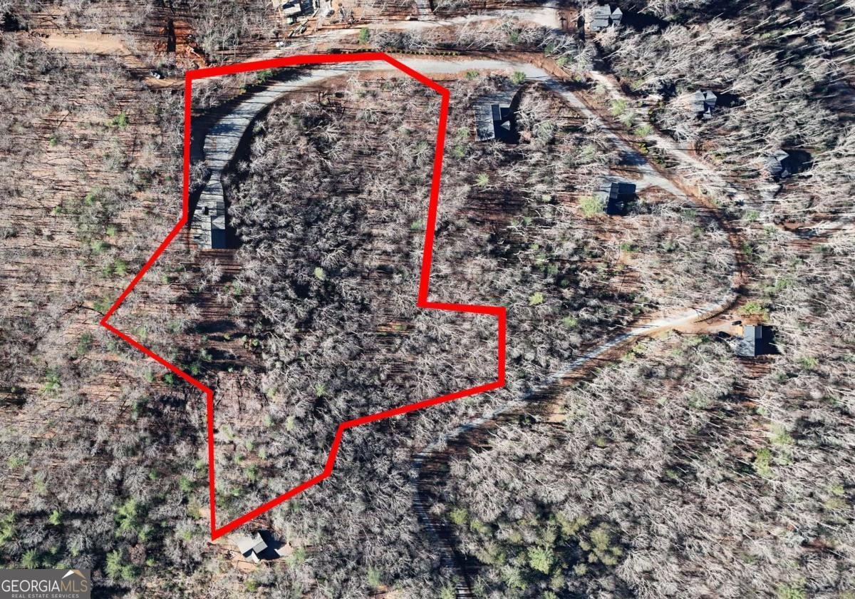 731 Native Trail Blue Ridge - Photo 55