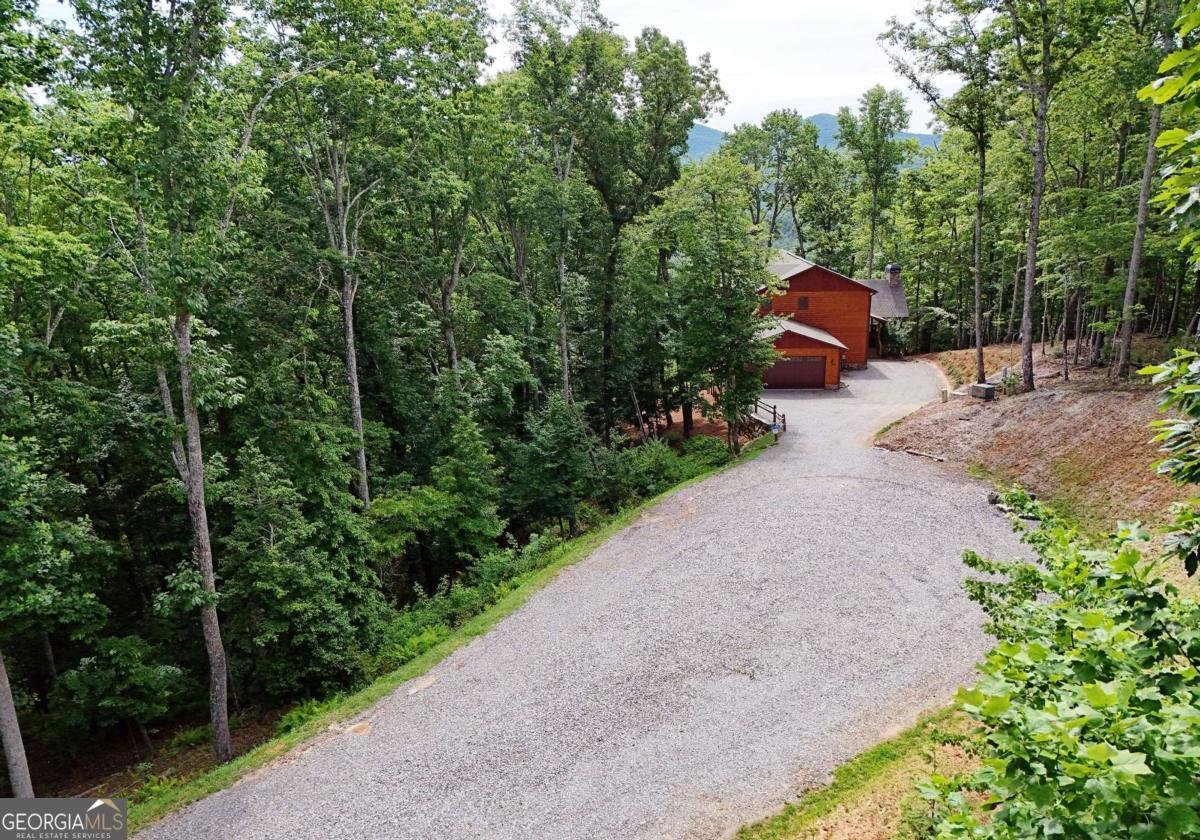 731 Native Trail Blue Ridge - Photo 7