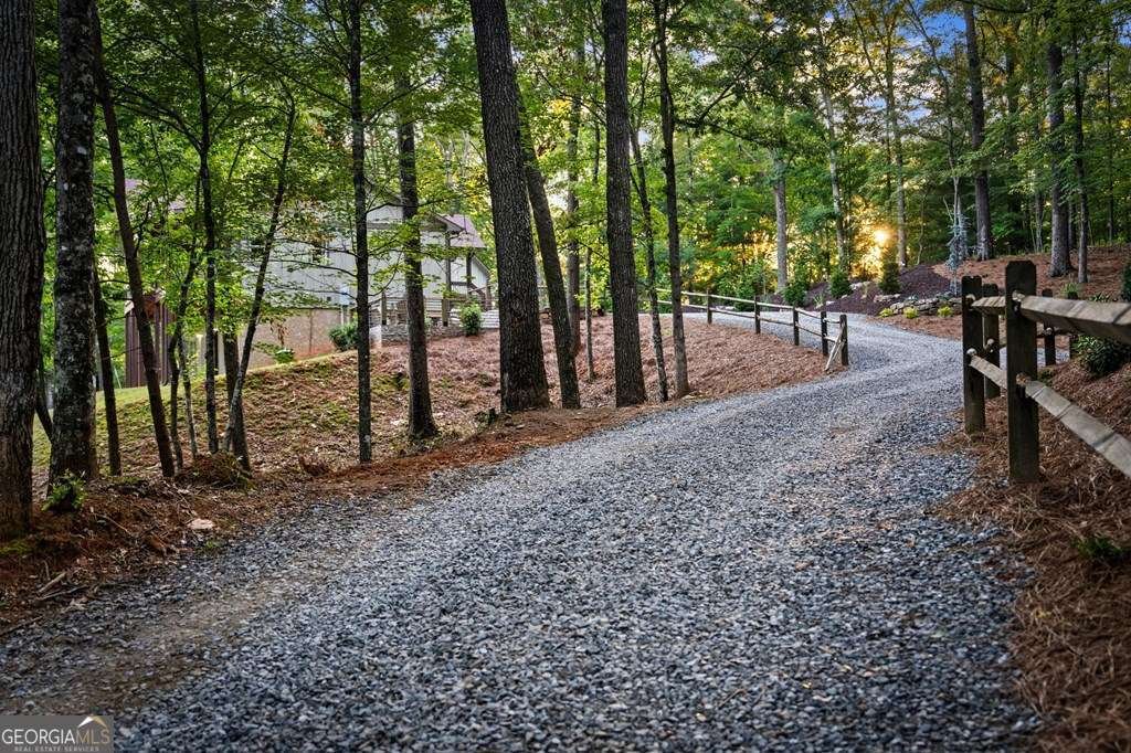 241 Wolf Creek Mountain Road Mineral Bluff - Photo 39