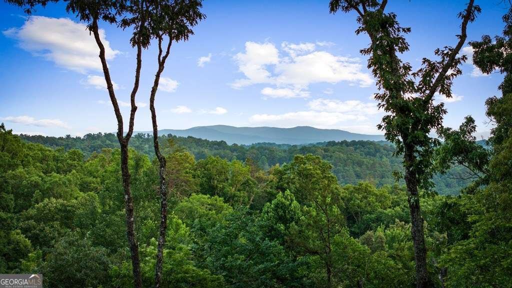 241 Wolf Creek Mountain Road Mineral Bluff - Photo 43