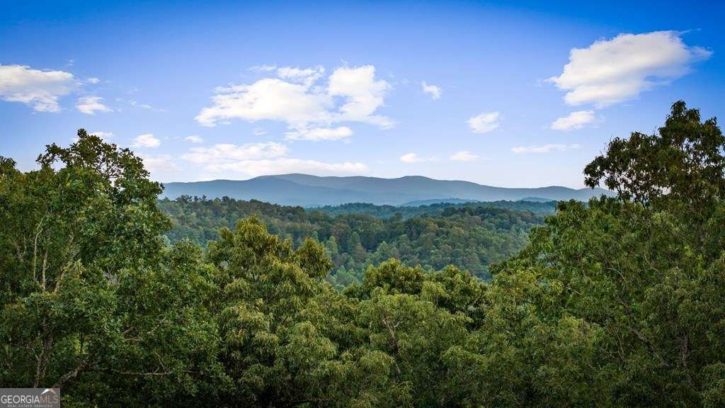 241 Wolf Creek Mountain Road Mineral Bluff - Photo 7