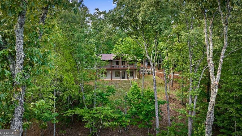 241 Wolf Creek Mountain Road Mineral Bluff - Photo 9