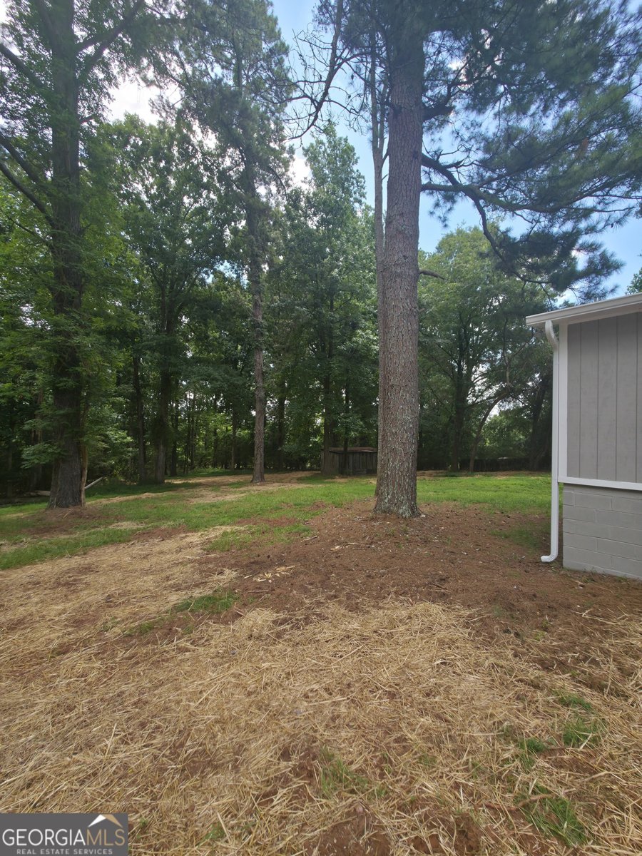 853 Moon Bridge Road Winder - Photo 18
