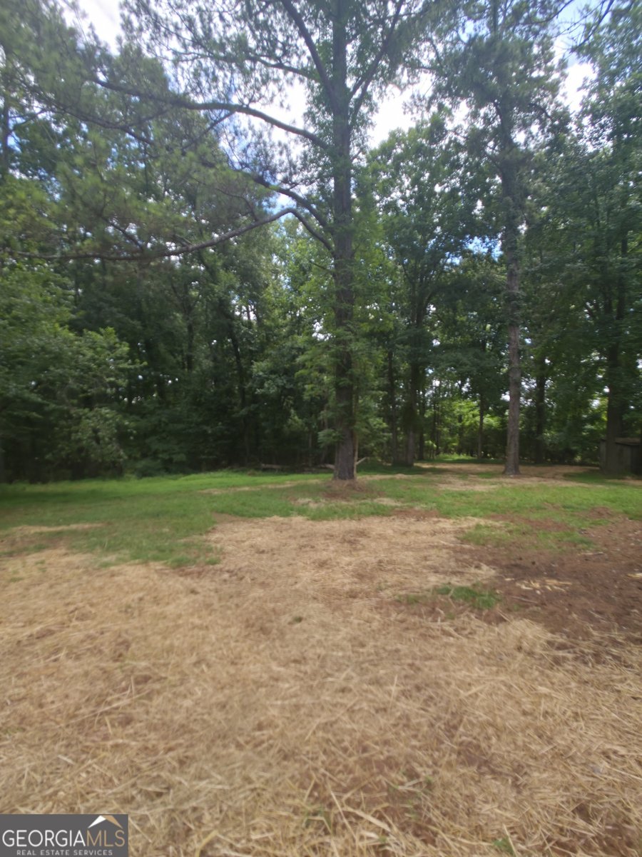 853 Moon Bridge Road Winder - Photo 19