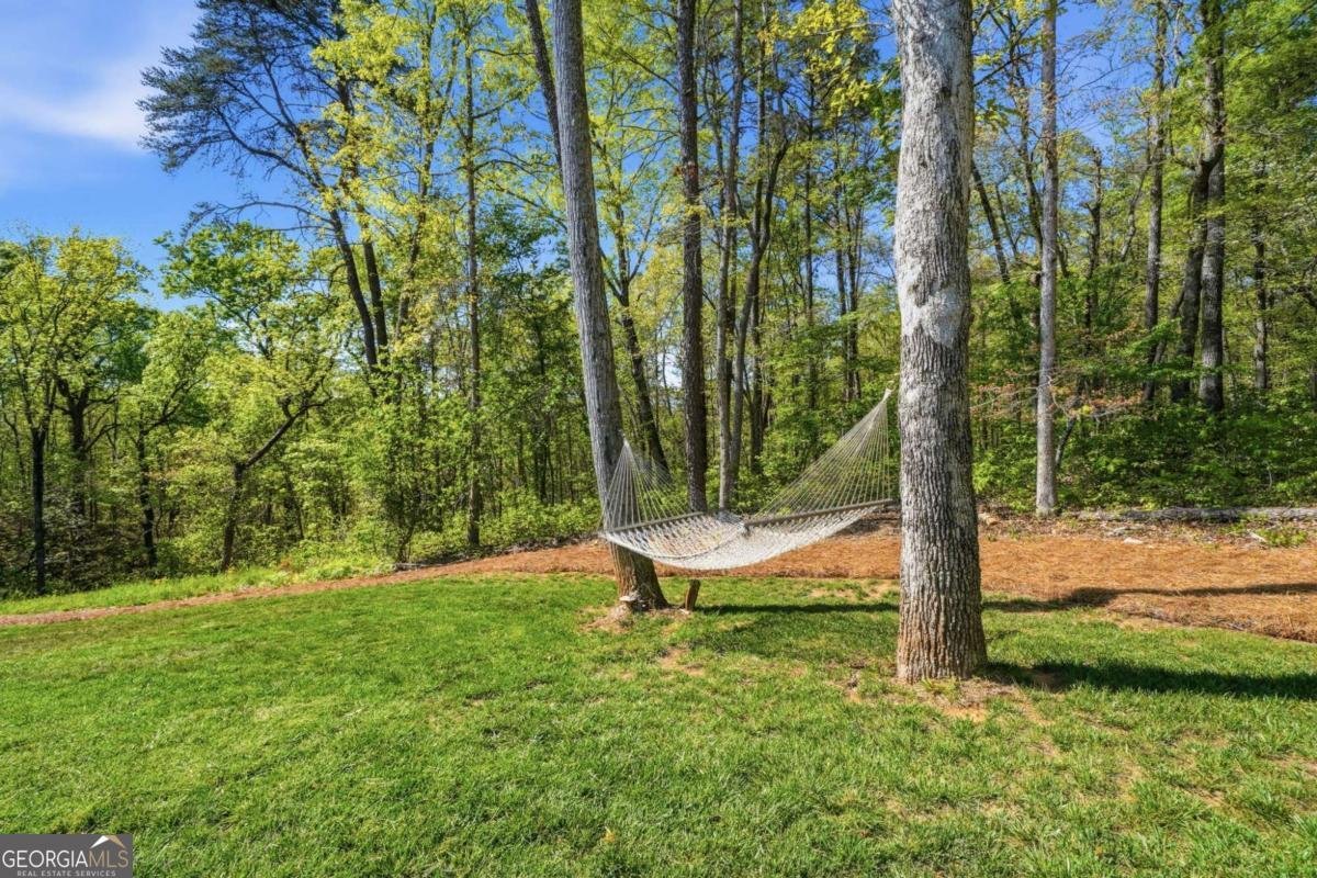 498 Old Mount Carmel Road Canton - Photo 77