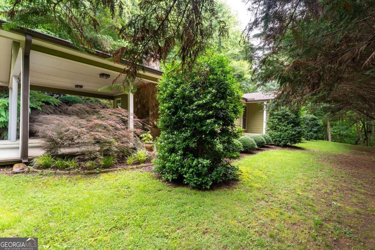 3425 Appalachian Highway Blue Ridge - Photo 31