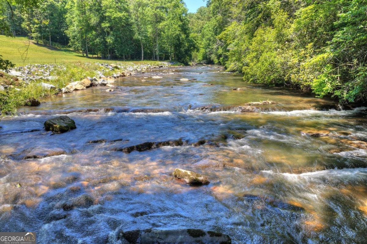 1027 Power Dam Road Blue Ridge - Photo 38