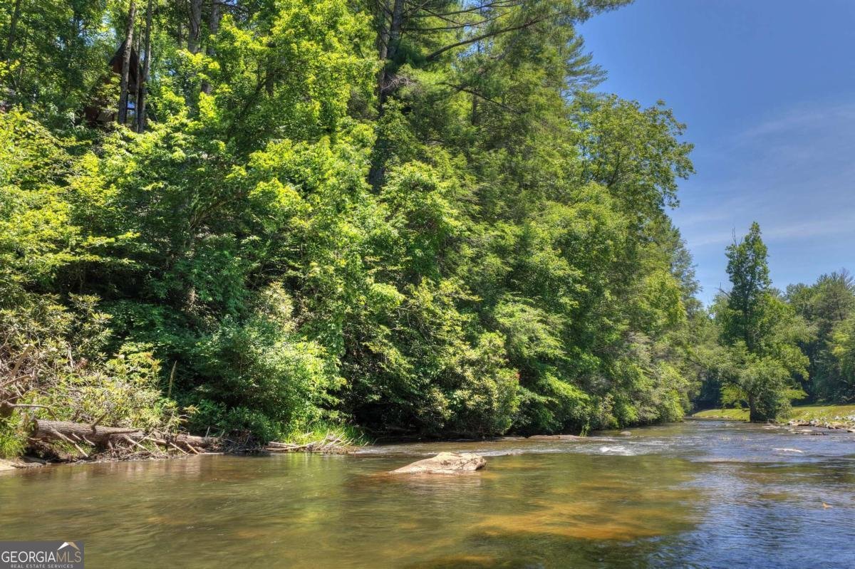 1027 Power Dam Road Blue Ridge - Photo 39