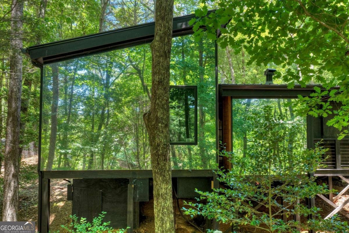 1027 Power Dam Road Blue Ridge - Photo 47