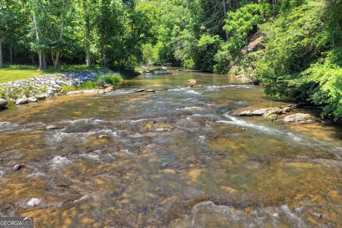 1027 Power Dam Road Blue Ridge - Photo 79