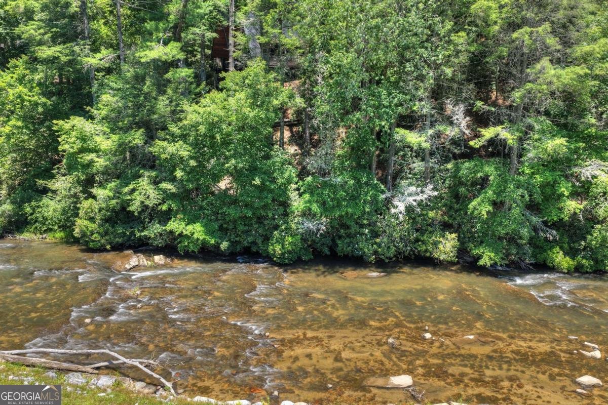 1027 Power Dam Road Blue Ridge - Photo 81