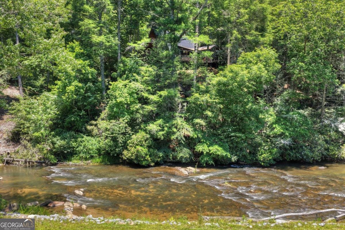 1027 Power Dam Road Blue Ridge - Photo 82