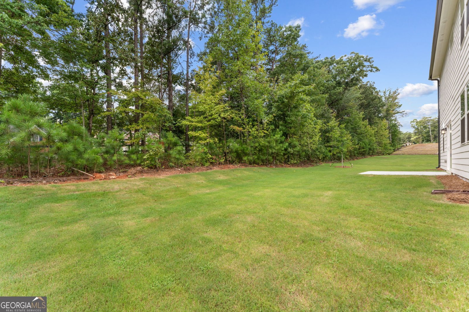 139 Wildflower Ridge Road Dallas - Photo 30