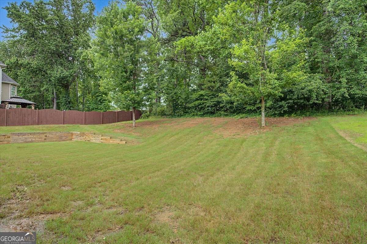 2327 Magaw Lane Powder Springs - Photo 44