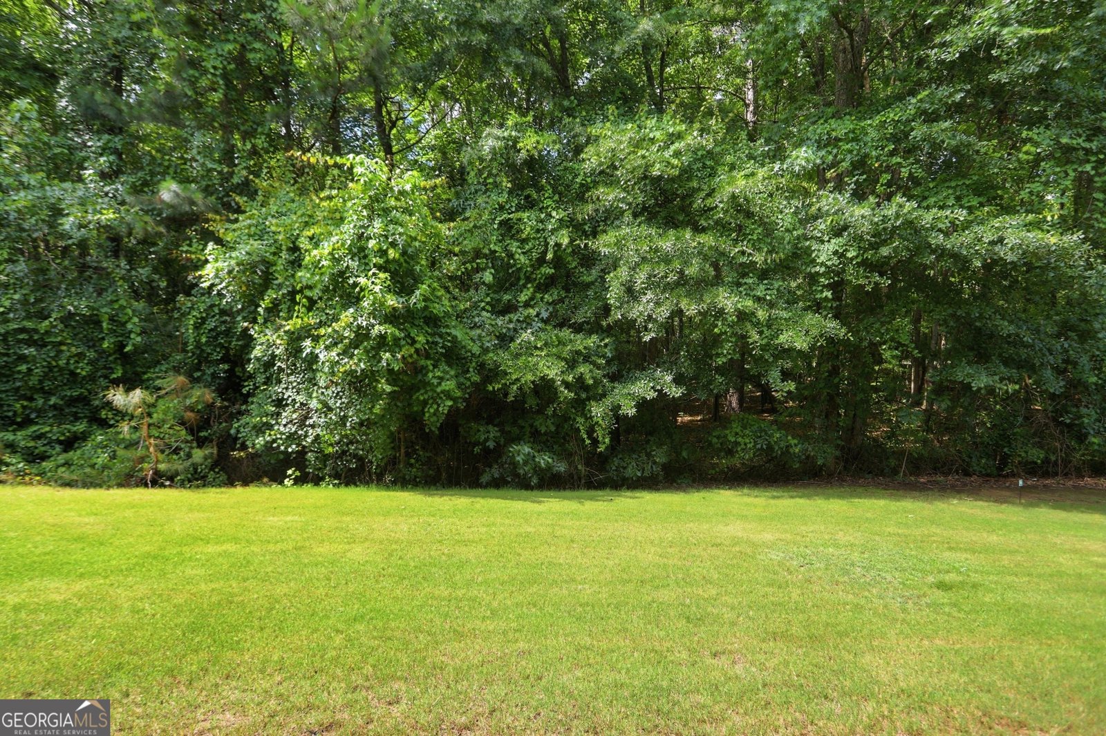 22 Star Spangled Lane Peachtree City - Photo 37