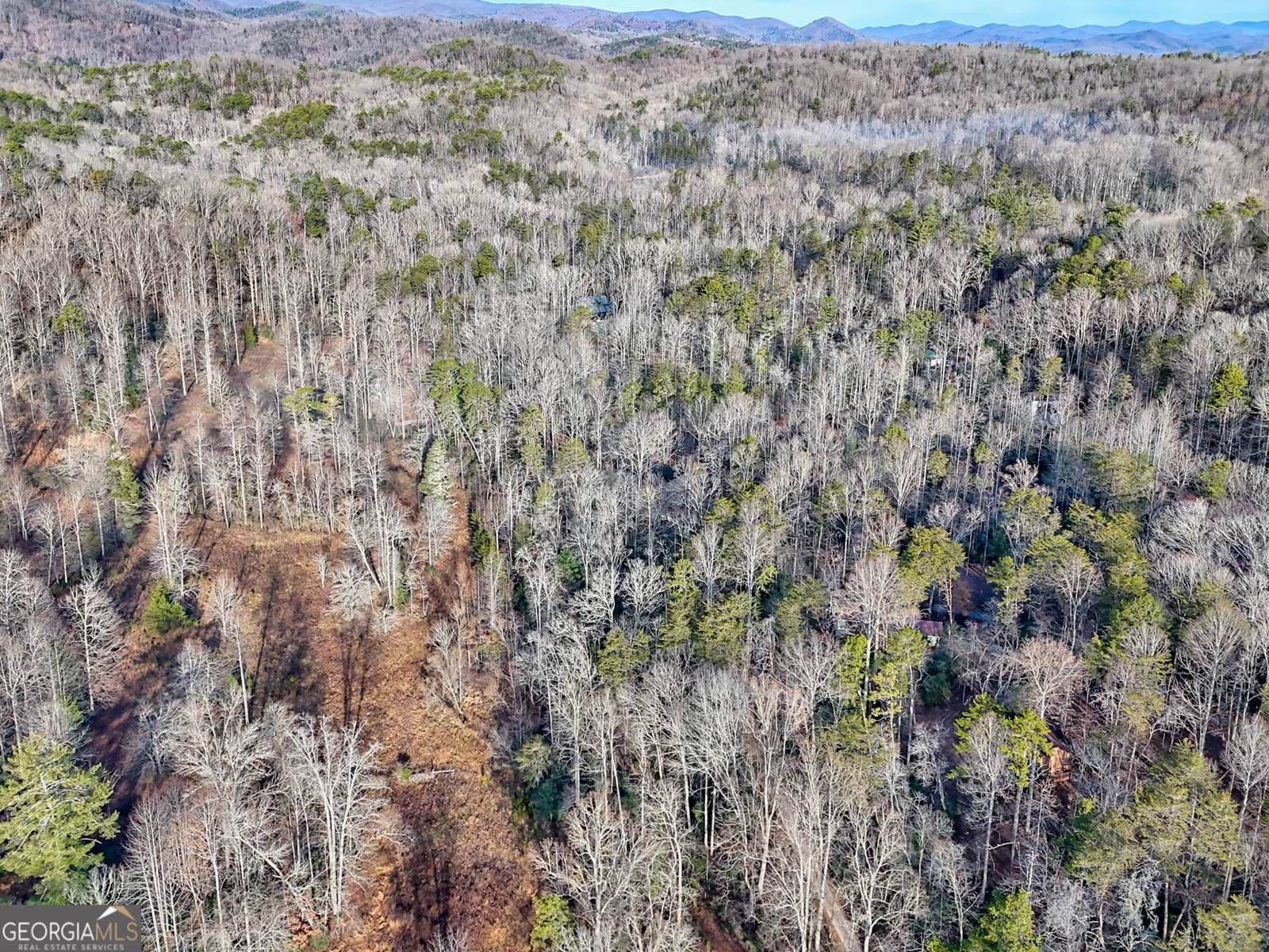 341 Brookwood Lane Clarkesville - Photo 80