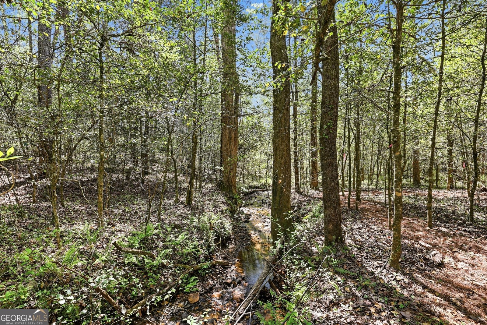 341 Brookwood Lane Clarkesville - Photo 85