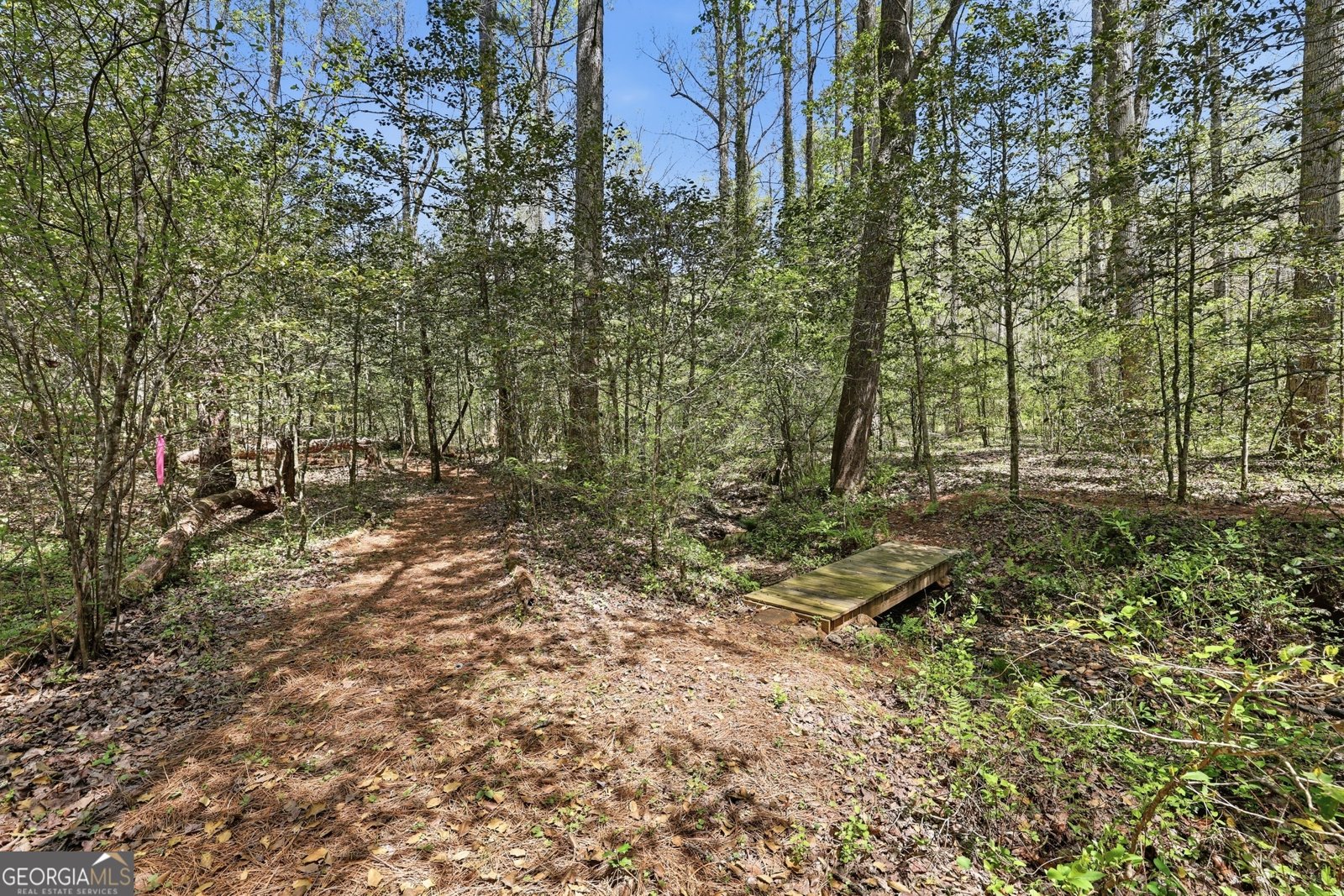 341 Brookwood Lane Clarkesville - Photo 86