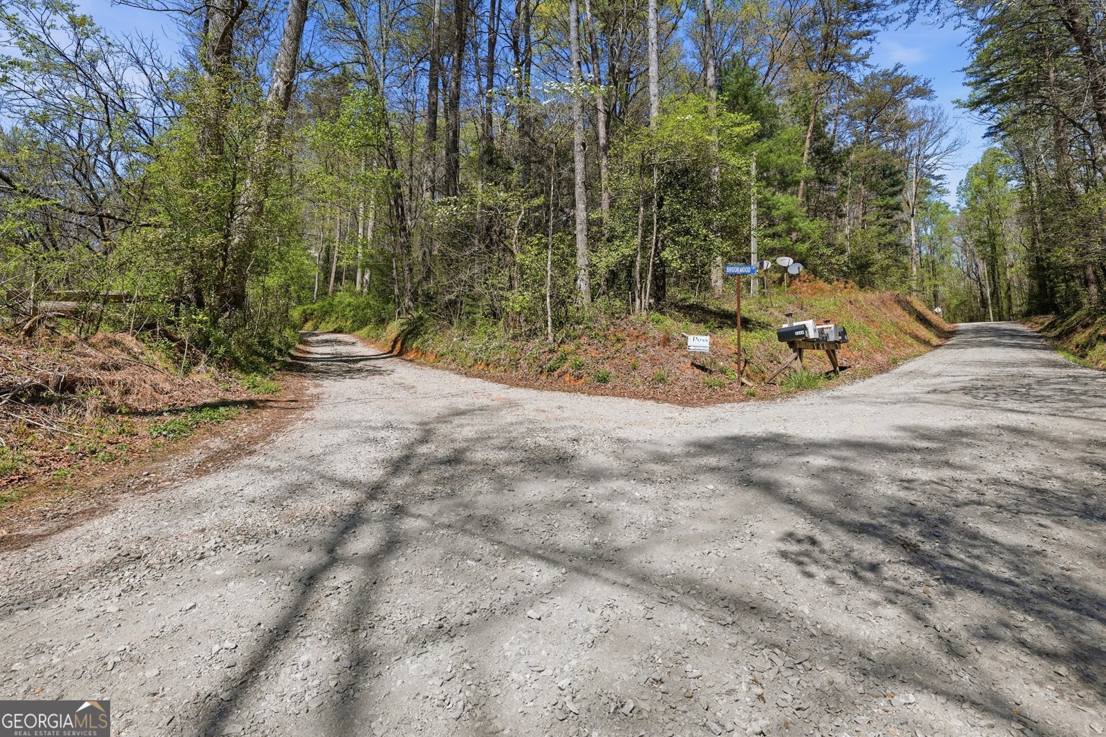 341 Brookwood Lane Clarkesville - Photo 88