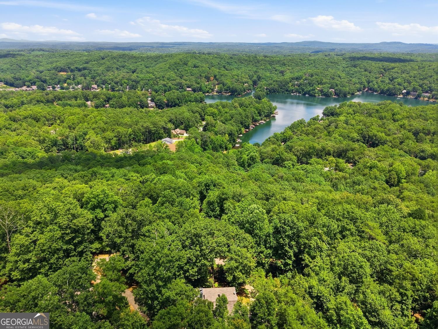 930 Lake Arrowhead Drive Waleska - Photo 44