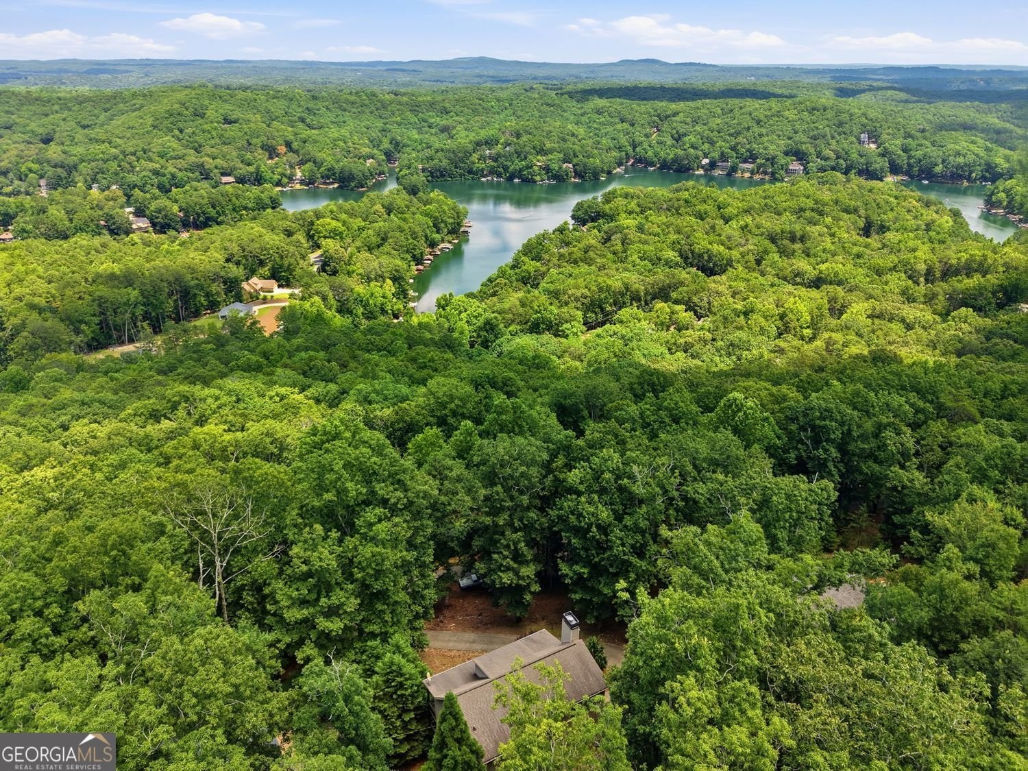 930 Lake Arrowhead Drive Waleska - Photo 46