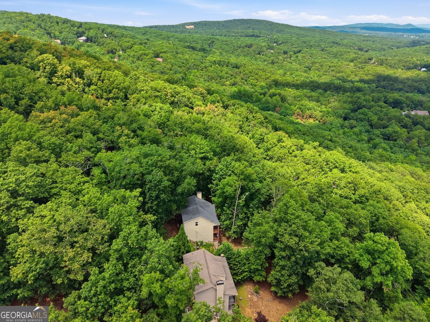 930 Lake Arrowhead Drive Waleska - Photo 51