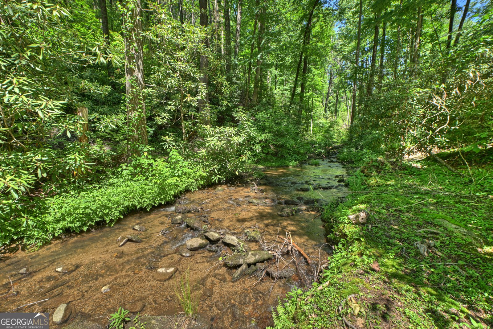 280 Serenity Place Ellijay - Photo 29