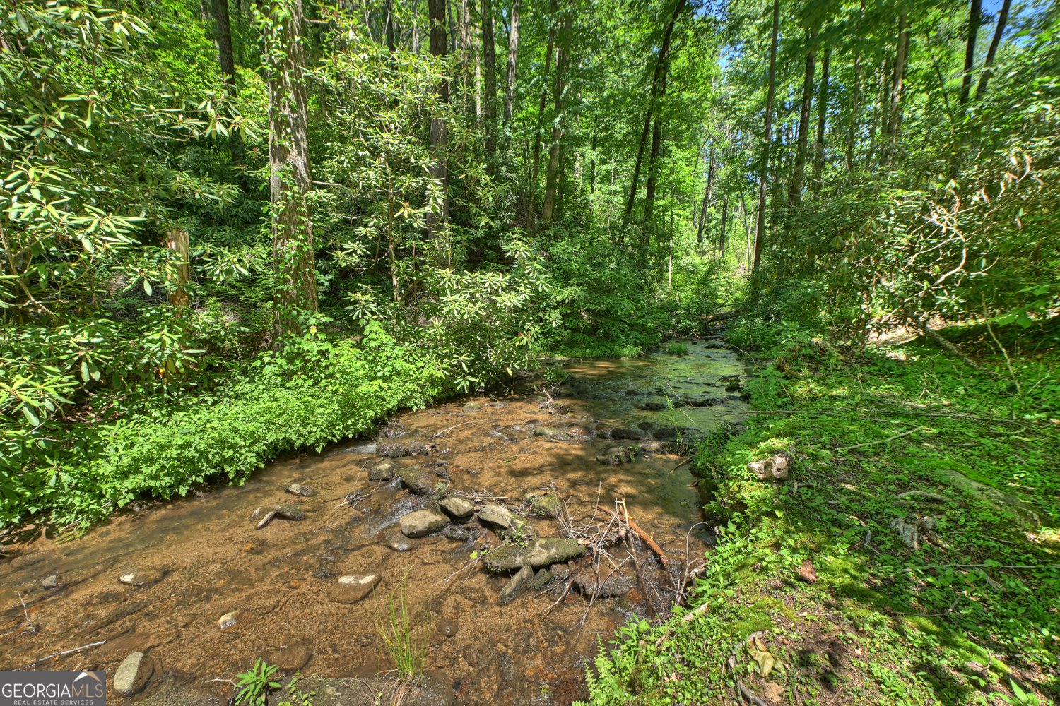 280 Serenity Place Ellijay - Photo 74
