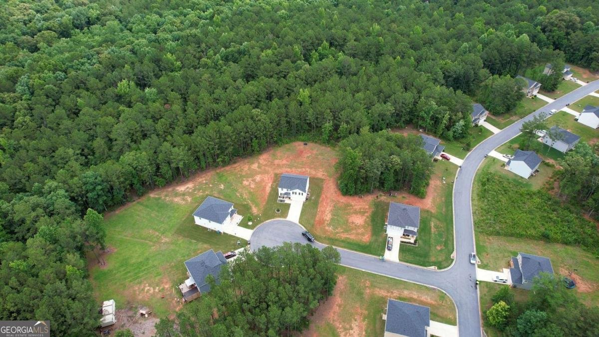 20 Great Canyon Lane Covington - Photo 10