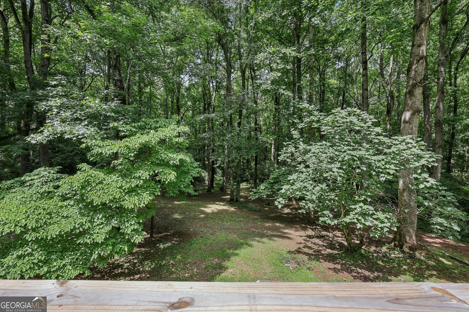 120 Carriage Gate Drive Sharpsburg - Photo 27