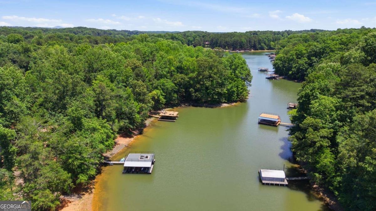 420 Thompson Creek Park Road Dawsonville - Photo 31