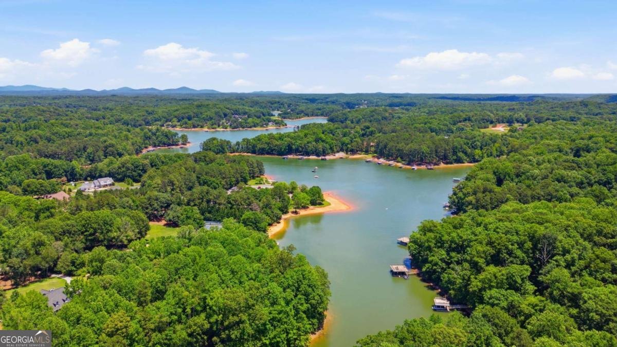 420 Thompson Creek Park Road Dawsonville - Photo 35