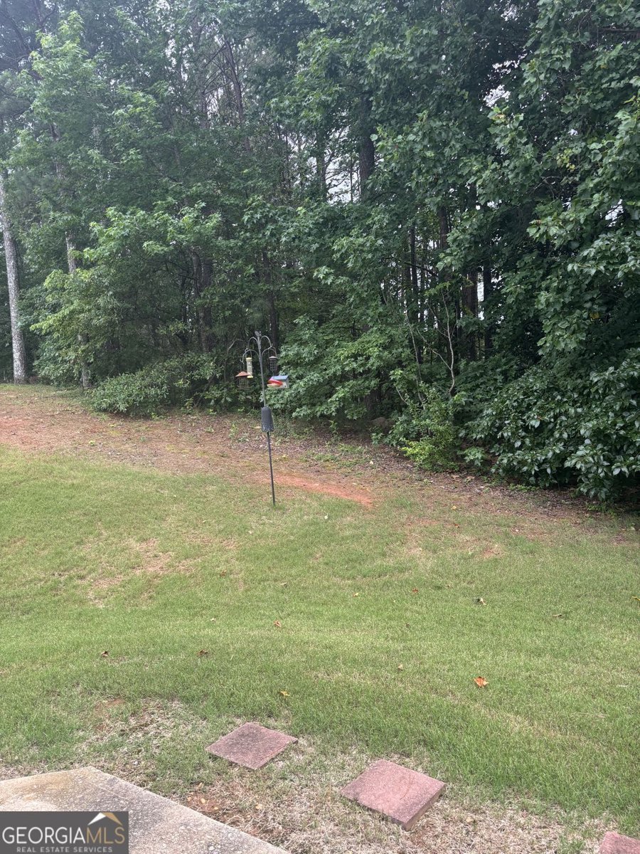 1885 Winding Crossing Trail Fairburn - Photo 10