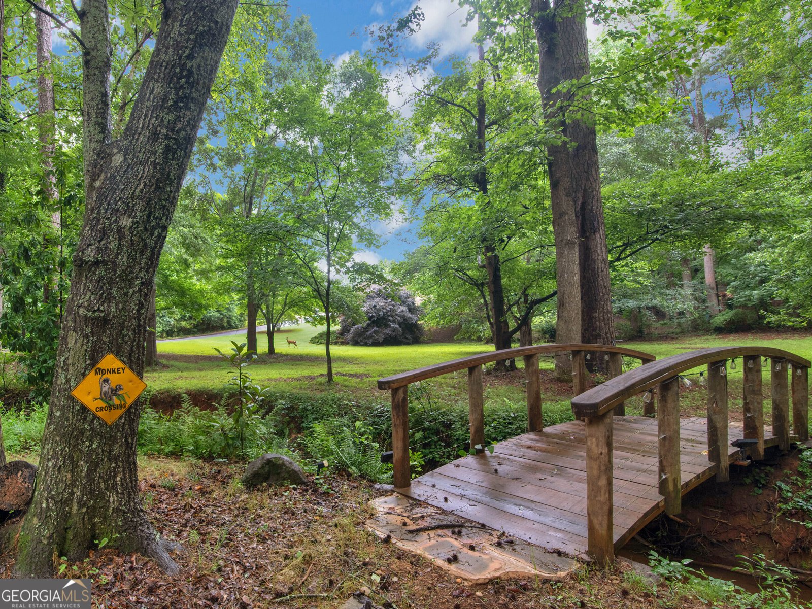 330 Lake Ridge Court McDonough - Photo 46