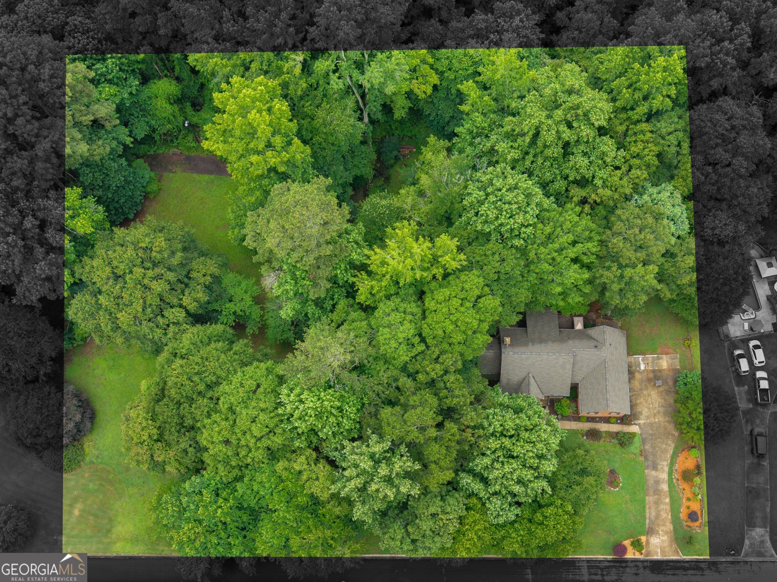 330 Lake Ridge Court McDonough - Photo 50
