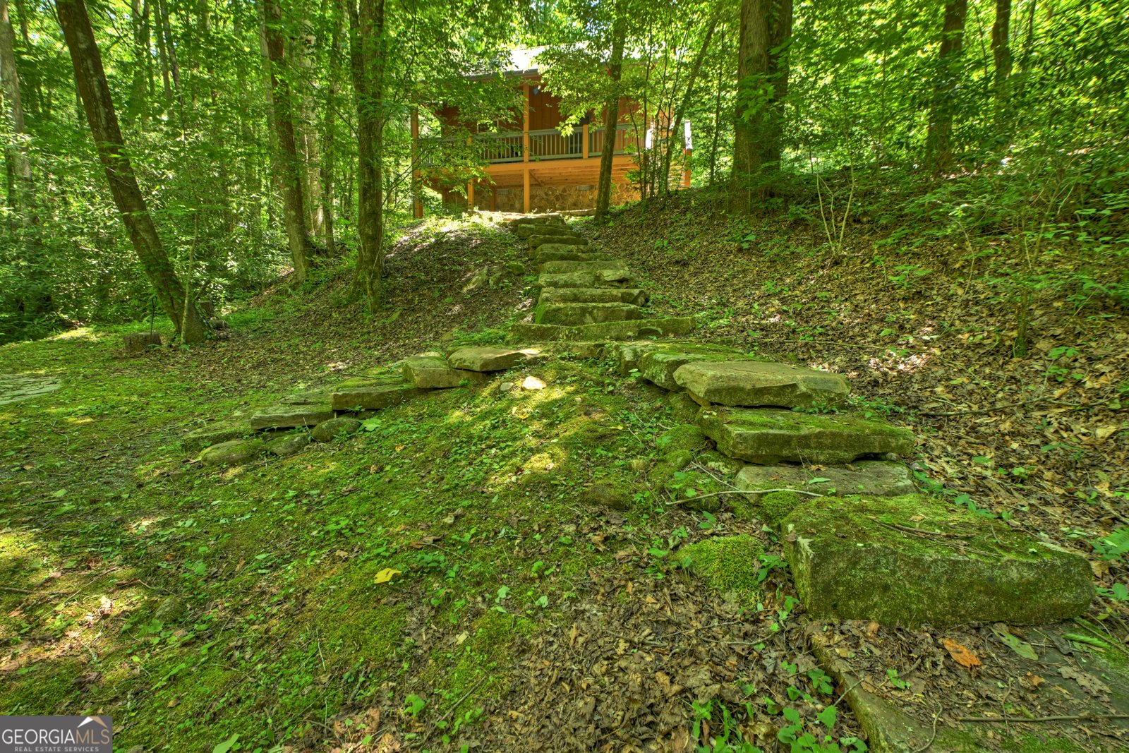 373 Barnes Creek Rd Ellijay - Photo 10