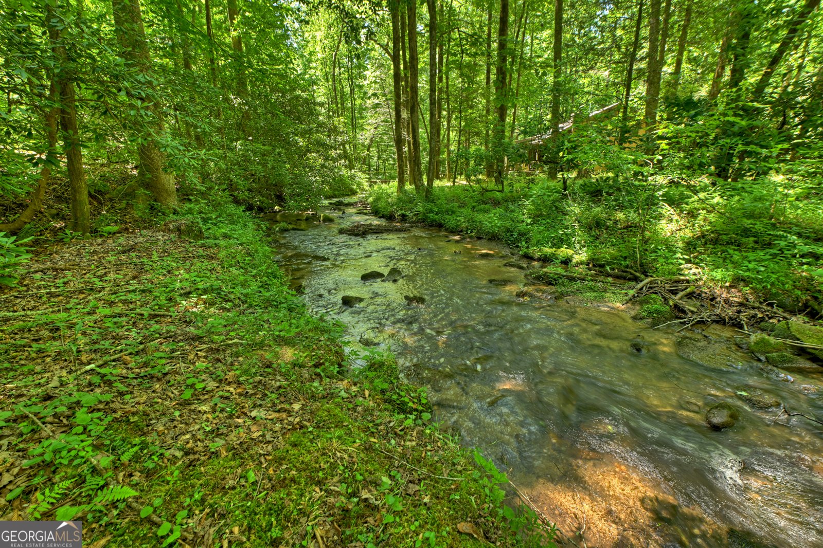 373 Barnes Creek Rd Ellijay - Photo 13