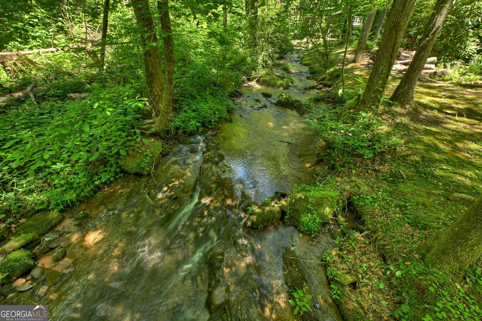 373 Barnes Creek Rd Ellijay - Photo 17