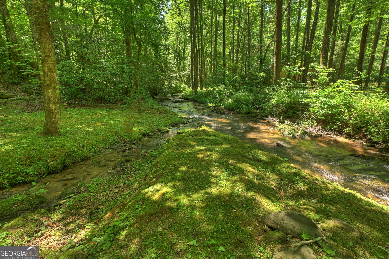 373 Barnes Creek Rd Ellijay - Photo 20