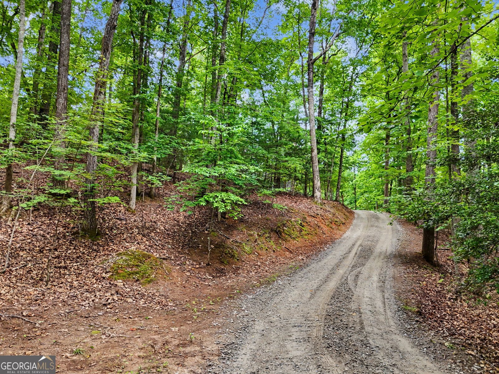 778 Wilmar Blairsville - Photo 40