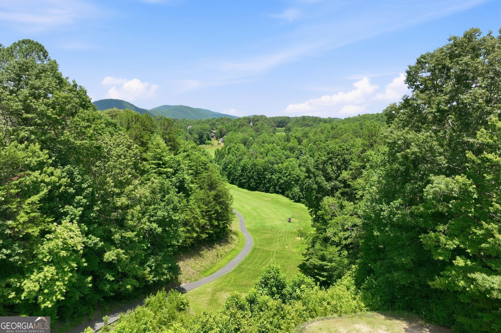84 Schwarzwald Strasse Helen - Photo 64