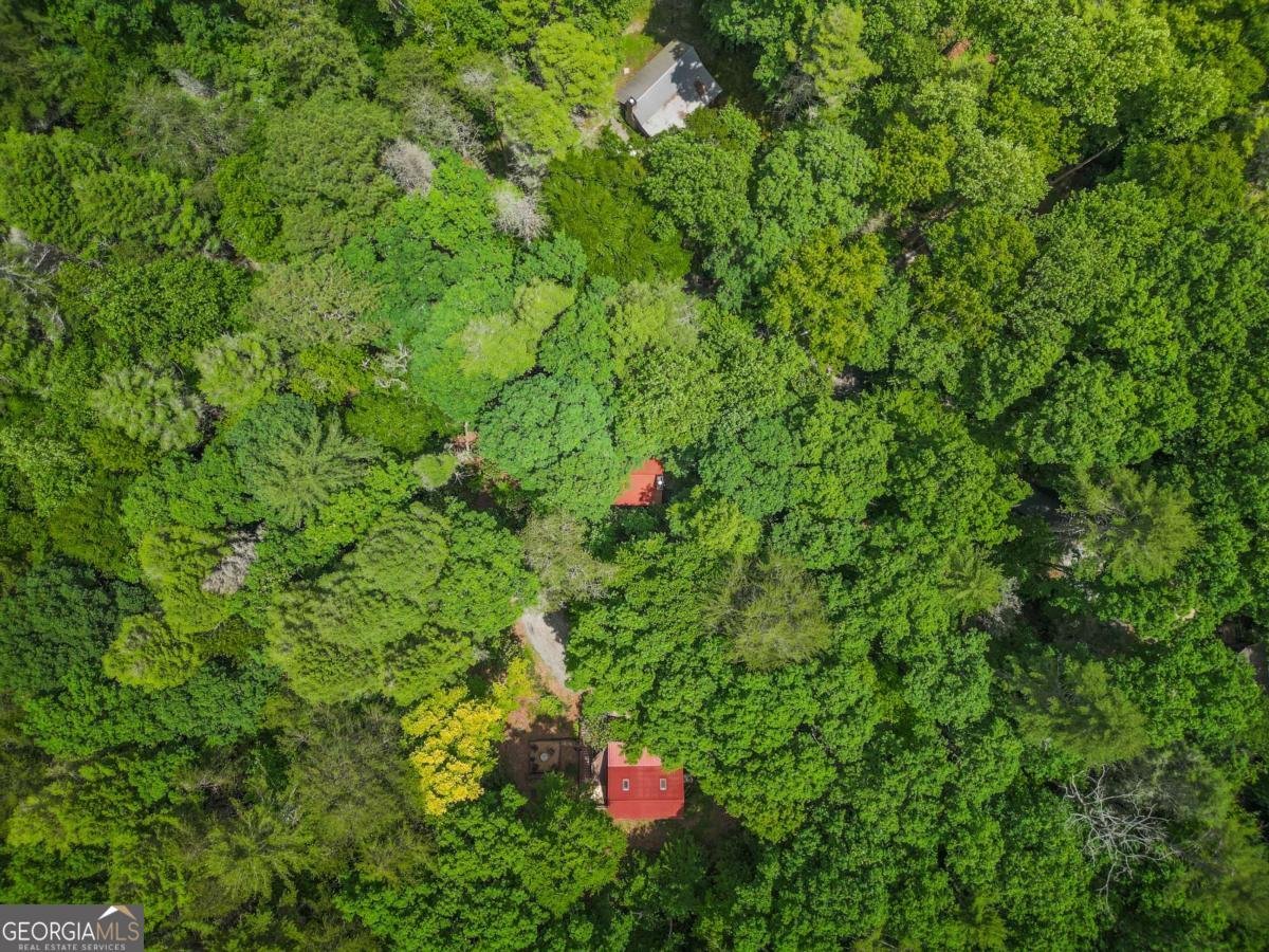14 Finch Lane Cherry Log - Photo 21